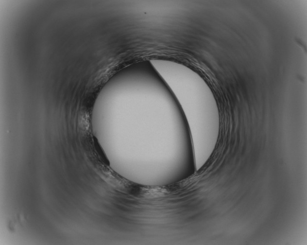 X0000091650621200708231011