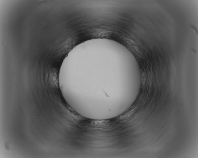 X0000091650622200708231011
