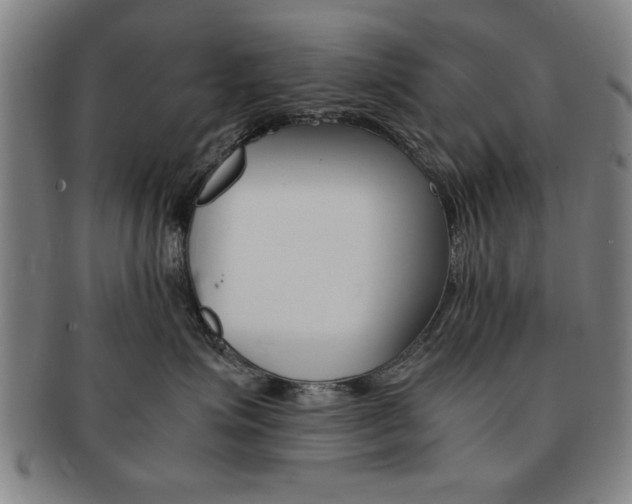 X0000091650623200708231011