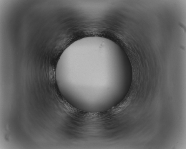X0000091650624200708231011
