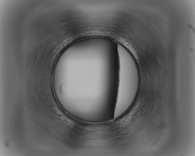 X0000091650625200708231011