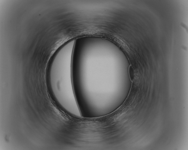 X0000091650626200708231011