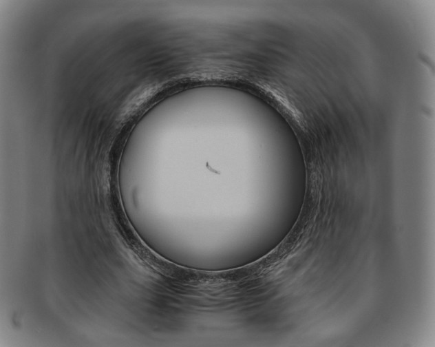 X0000091650631200708231011