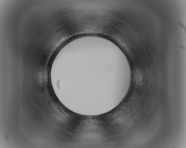 X0000091650632200708231011
