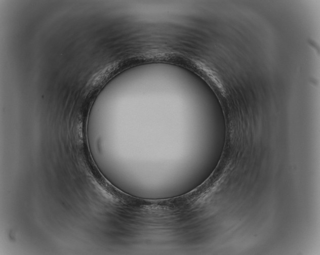X0000091650633200708231011