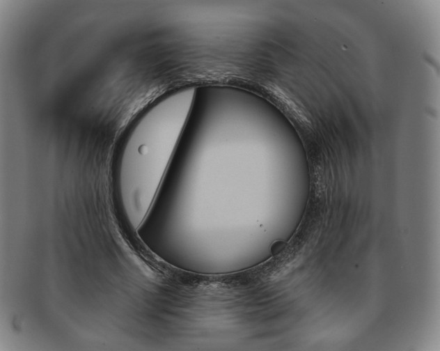 X0000091650634200708231011