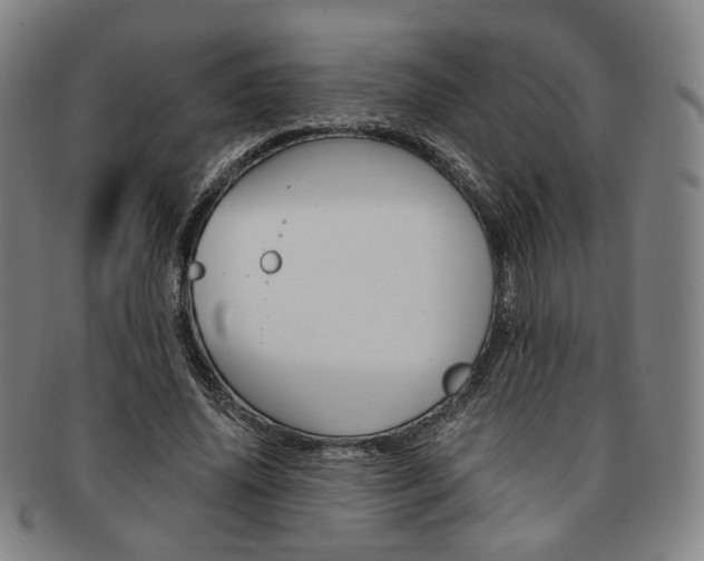 X0000091650636200708231011