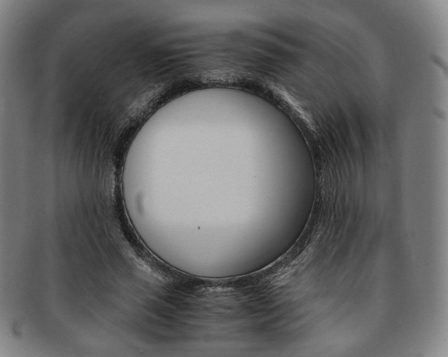 X0000091650637200708231011