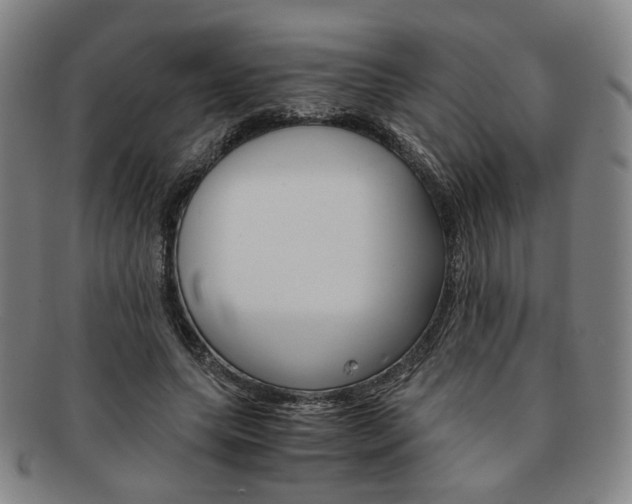 X0000091650639200708231011