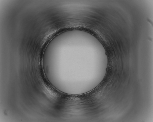 X0000091650640200708231011