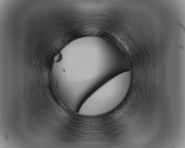 X0000091650641200708231011