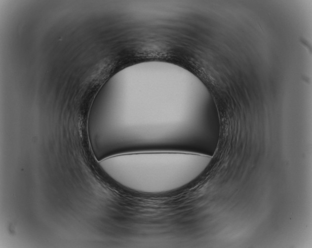 X0000091650643200708231011