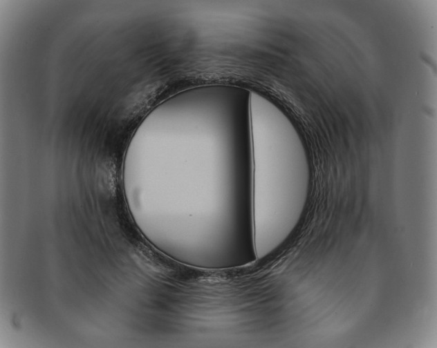 X0000091650644200708231011