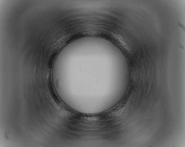 X0000091650645200708231011