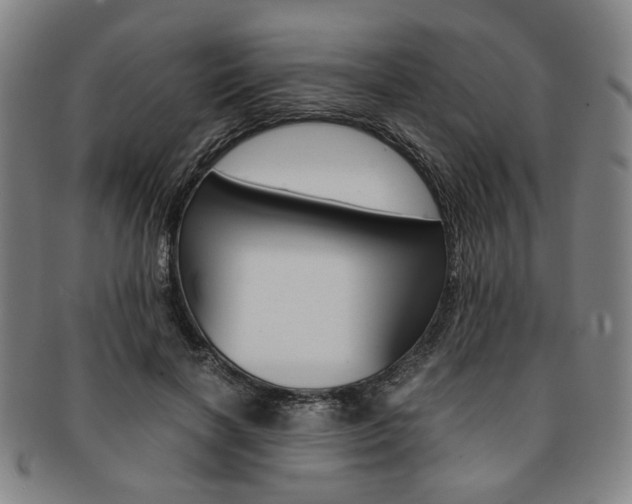 X0000091650646200708231011