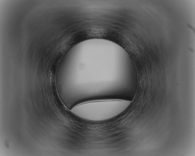 X0000091650647200708231011