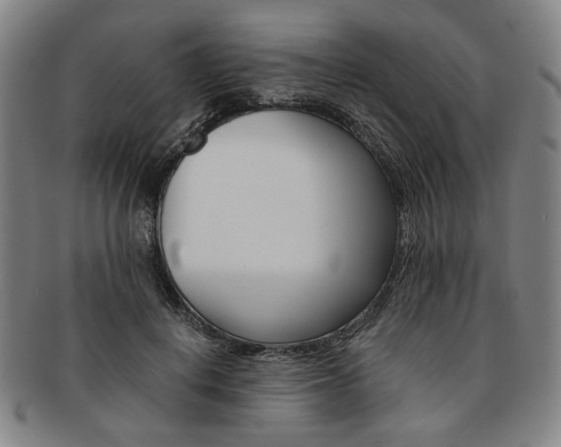 X0000091650648200708231011