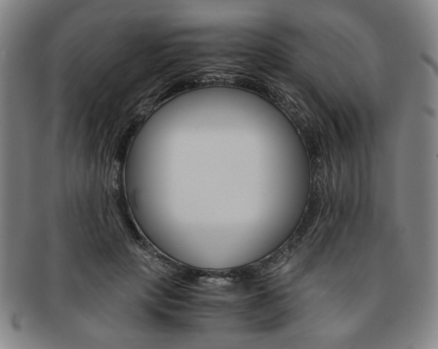 X0000091650649200708231011