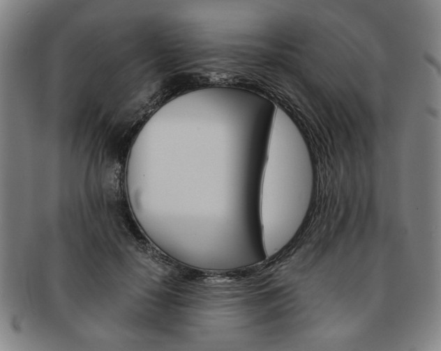 X0000091650650200708231011