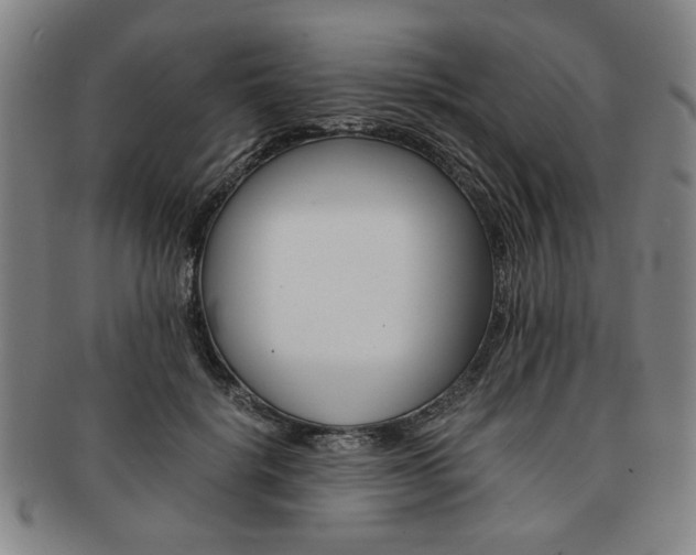 X0000091650652200708231011