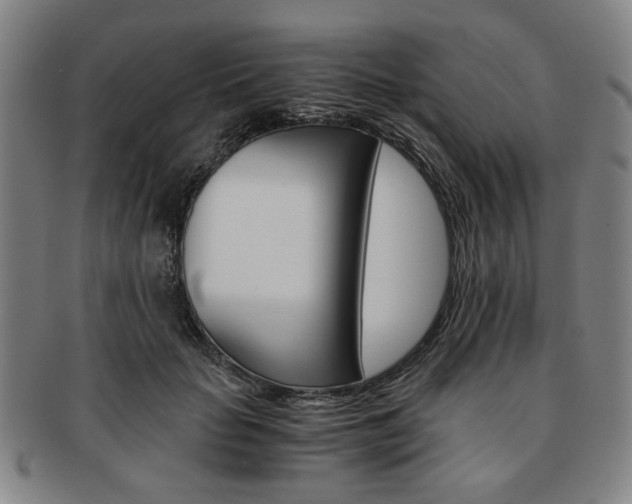 X0000091650653200708231011
