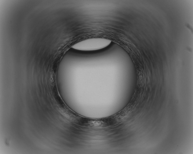 X0000091650654200708231011