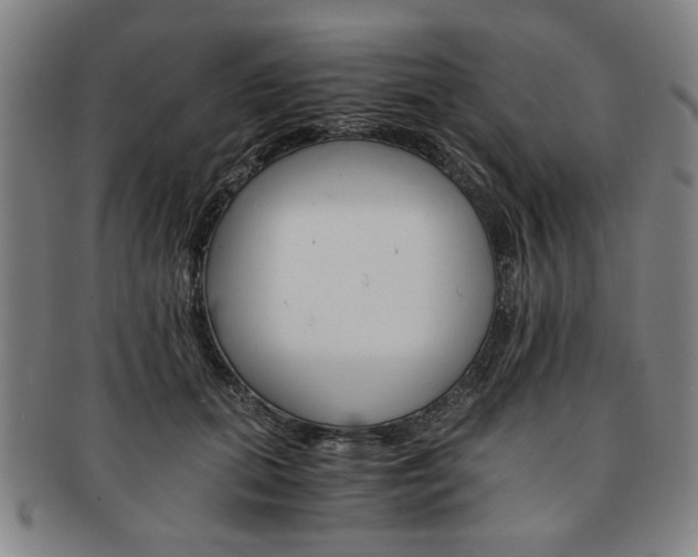 X0000091650655200708231011