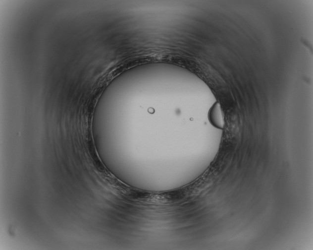 X0000091650656200708231011