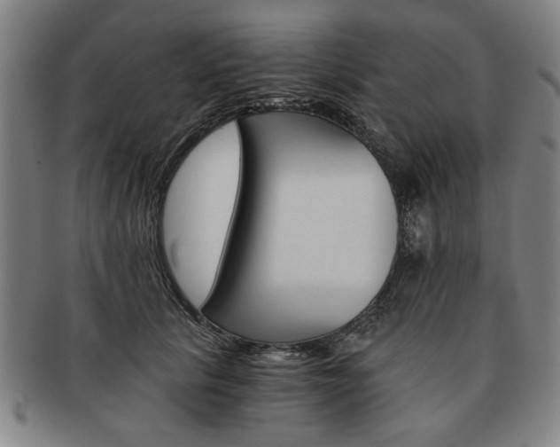 X0000091650657200708231011