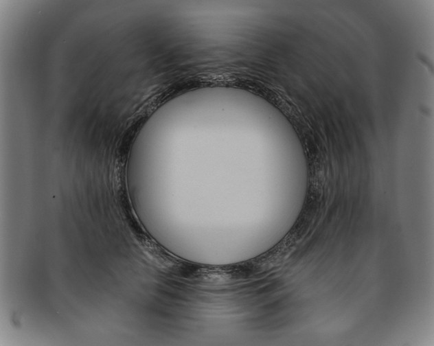 X0000091650658200708231011