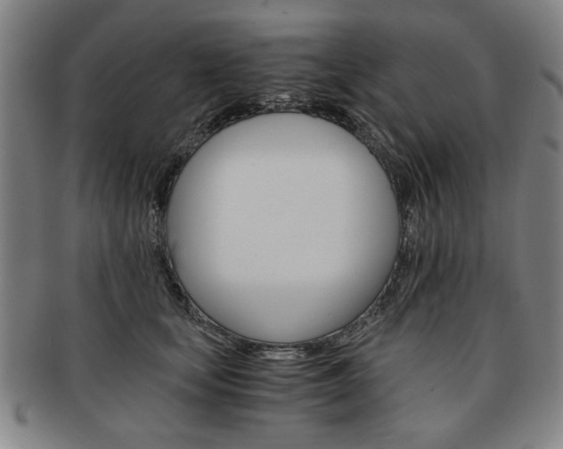 X0000091650659200708231011