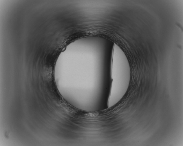 X0000091650660200708231011