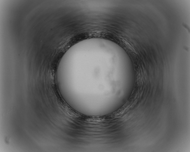 X0000091650661200708231011
