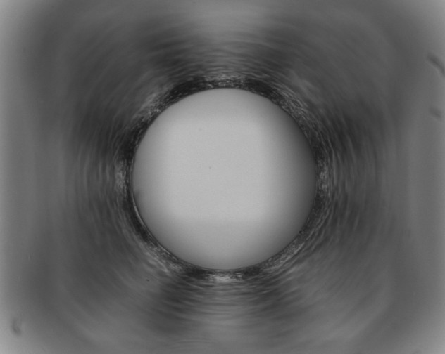 X0000091650662200708231011