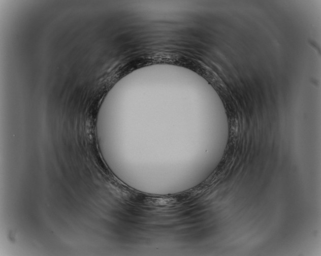 X0000091650663200708231011