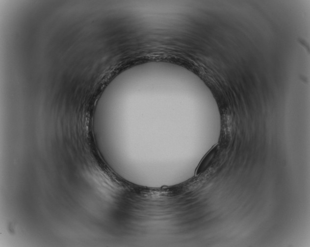 X0000091650664200708231011