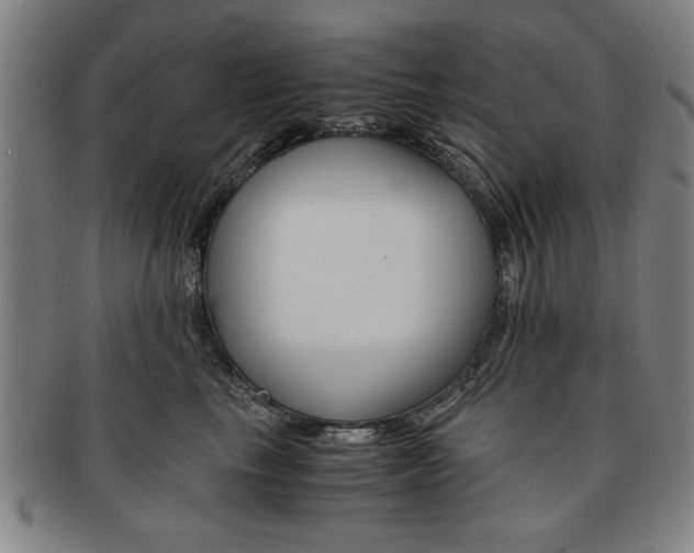 X0000091650665200708231011