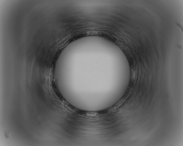 X0000091650666200708231011