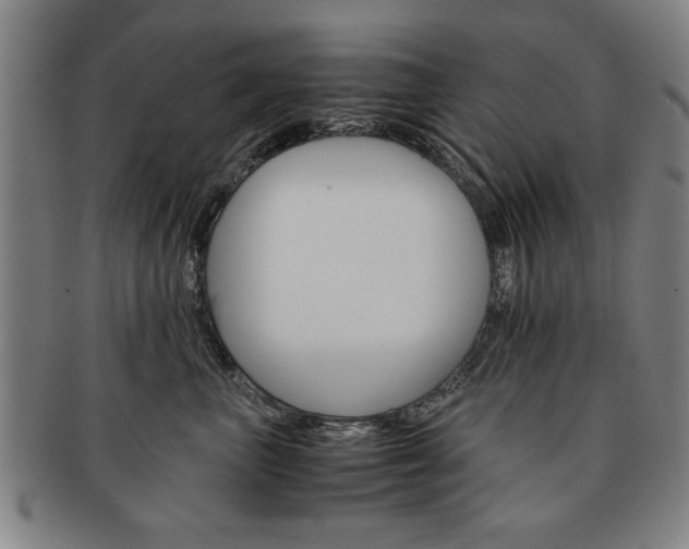 X0000091650667200708231011