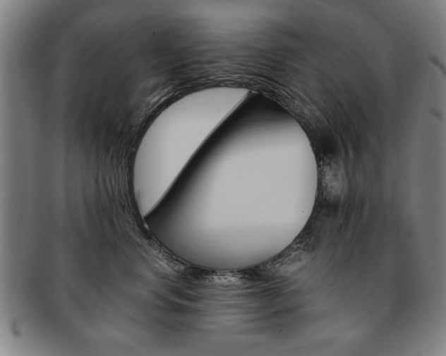 X0000091650668200708231011
