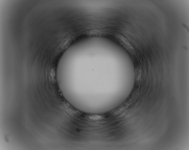 X0000091650669200708231011