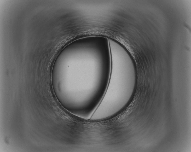X0000091650673200708231011