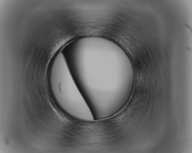 X0000091650674200708231011