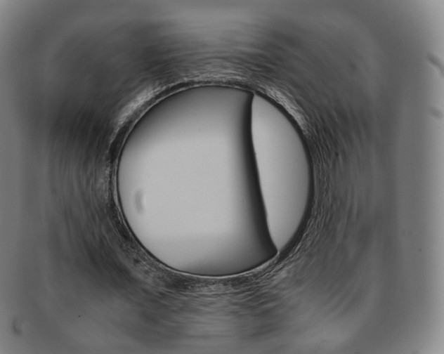 X0000091650675200708231011