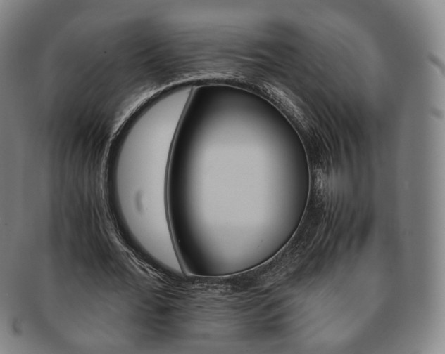 X0000091650676200708231011