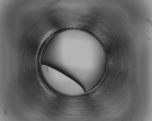 X0000091650678200708231011