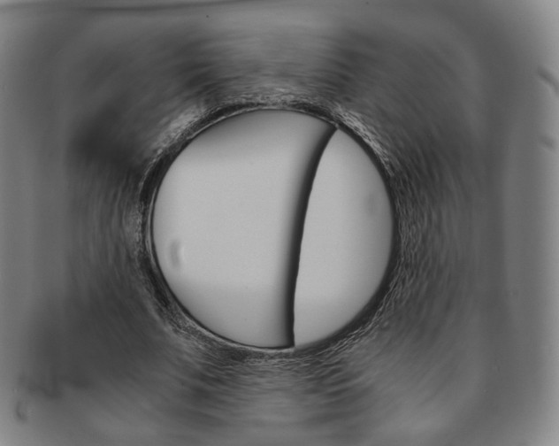 X0000091650679200708231011