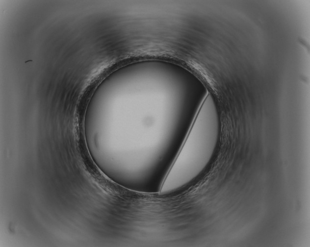 X0000091650680200708231011