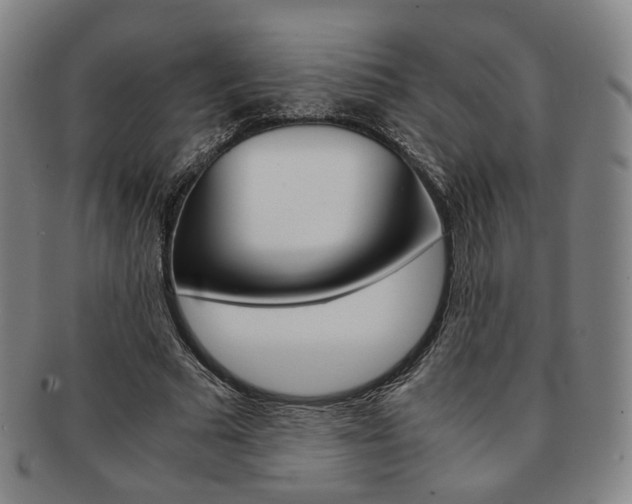 X0000091650681200708231010
