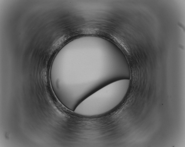 X0000091650682200708231010